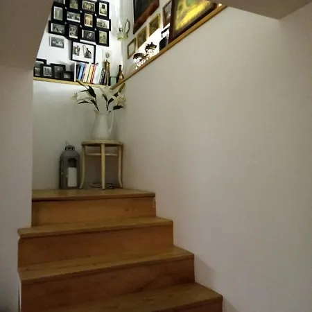 Villa Villa Nono Vrh (Krk)