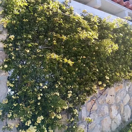 Villa Nono